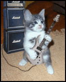 Funny Myspace Comments