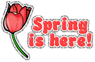 Spring Break Myspace Comments