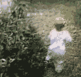 Animated Pictures Myspace Comments