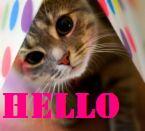 Hello! Myspace Comments