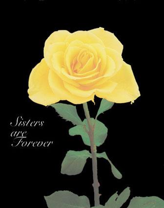 Friends Myspace Comments