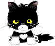 Animated Pictures Myspace Comments
