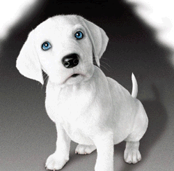 Animated Pictures Myspace Comments