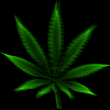 Alcohol&Drugs Myspace Comments